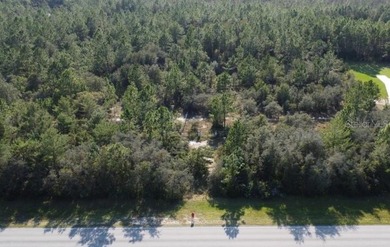 Discover a rare slice of Palm Coast that blends peaceful country on Conservatory Course At Hammock Beach Resort in Florida - for sale on GolfHomes.com, golf home, golf lot