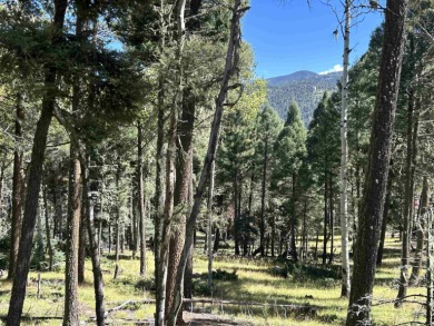 Gently sloping with mature aspen, pine, fir, and spruce trees on Angel Fire Resort Country Club in New Mexico - for sale on GolfHomes.com, golf home, golf lot