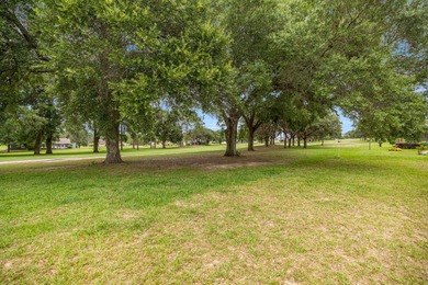 Move-in Ready! This stunning concrete block stucco home has so on Citrus Hills Golf Club in Florida - for sale on GolfHomes.com, golf home, golf lot