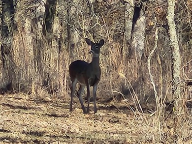 Beautiful undeveloped build site with breathtaking views of Lake on Nocona Hills Golf Course in Texas - for sale on GolfHomes.com, golf home, golf lot