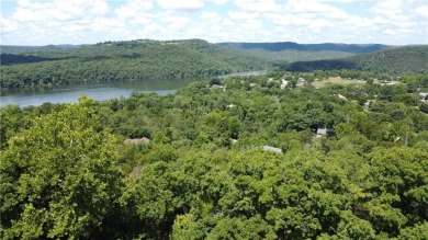 Looking for a nice building lot in Holiday Island with a view? on Holiday Island Executive Golf Course in Arkansas - for sale on GolfHomes.com, golf home, golf lot