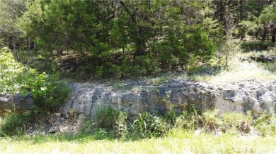 Looking for a nice building lot in Holiday Island with a view? on Holiday Island Executive Golf Course in Arkansas - for sale on GolfHomes.com, golf home, golf lot