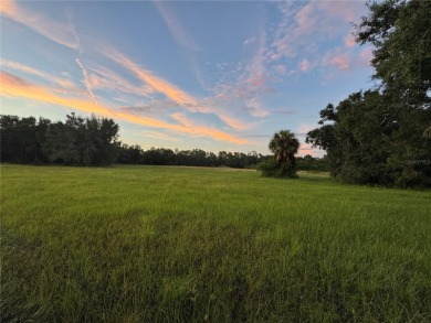 ~50 Acre Private Airport & Equestrian Estate - SW Florida | on Kingsway Country Club in Florida - for sale on GolfHomes.com, golf home, golf lot