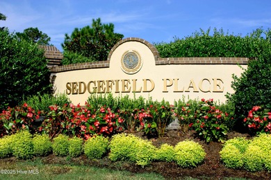 A wonderful expansive tee box to green view along the rolling on Ocean Ridge Plantation in North Carolina - for sale on GolfHomes.com, golf home, golf lot