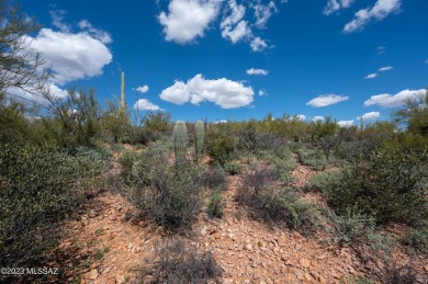 Discover the epitome of luxury living at Wildcat Pass, the crown on Starr Pass Golf Club in Arizona - for sale on GolfHomes.com, golf home, golf lot