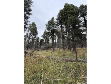 Discover the perfect canvas for your mountain retreat. Situated on Angel Fire Resort Country Club in New Mexico - for sale on GolfHomes.com, golf home, golf lot