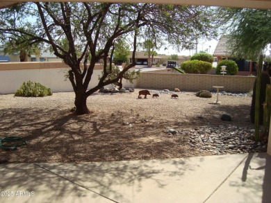 Enjoy the best of relaxed retirement living in this lightly on Grandview Golf Course in Arizona - for sale on GolfHomes.com, golf home, golf lot