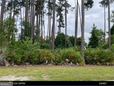 This is one of the last lots available in Osprey Cove, Isles of on The Club At Osprey Cove in Georgia - for sale on GolfHomes.com, golf home, golf lot