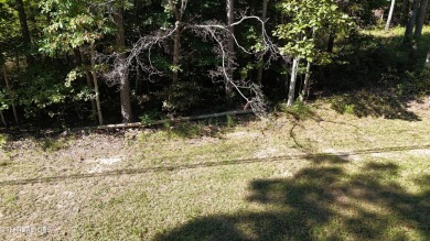 Beautiful lot in Lake Tansi only a minute from the Marina.  This on Lake Tansi Village Country Club in Tennessee - for sale on GolfHomes.com, golf home, golf lot