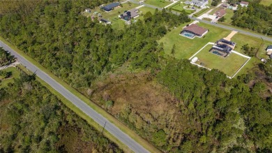 Come see this hidden gem in East Orlando and build your dream on Wedgefield Golf Club in Florida - for sale on GolfHomes.com, golf home, golf lot