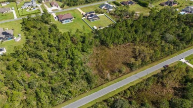 Come see this hidden gem in East Orlando and build your dream on Wedgefield Golf Club in Florida - for sale on GolfHomes.com, golf home, golf lot