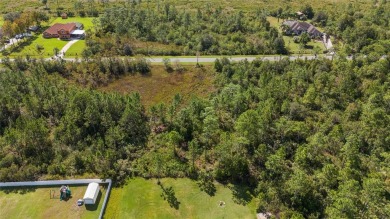 Come see this hidden gem in East Orlando and build your dream on Wedgefield Golf Club in Florida - for sale on GolfHomes.com, golf home, golf lot