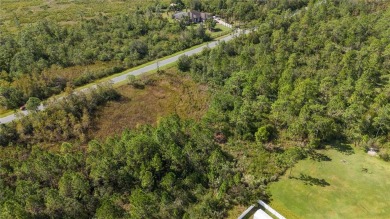 Come see this hidden gem in East Orlando and build your dream on Wedgefield Golf Club in Florida - for sale on GolfHomes.com, golf home, golf lot