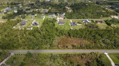 Come see this hidden gem in East Orlando and build your dream on Wedgefield Golf Club in Florida - for sale on GolfHomes.com, golf home, golf lot