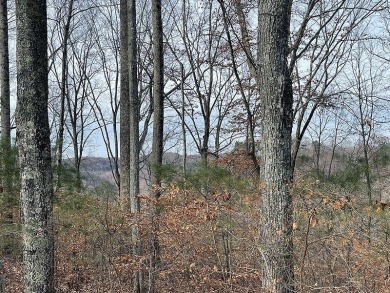 Excellent opportunity to own this .89 acre lake view lot. It's on Links At Lily Creek Resort in Kentucky - for sale on GolfHomes.com, golf home, golf lot