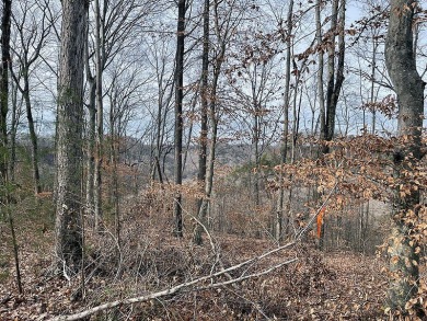 Excellent opportunity to own this .89 acre lake view lot. It's on Links At Lily Creek Resort in Kentucky - for sale on GolfHomes.com, golf home, golf lot