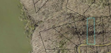 Excellent opportunity to own this .89 acre lake view lot. It's on Links At Lily Creek Resort in Kentucky - for sale on GolfHomes.com, golf home, golf lot