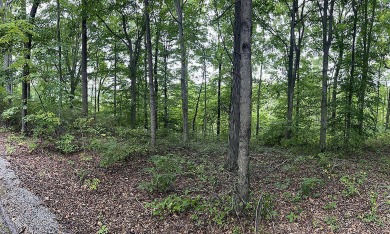 Excellent opportunity to own this .89 acre lake view lot. It's on Links At Lily Creek Resort in Kentucky - for sale on GolfHomes.com, golf home, golf lot