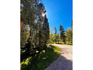 Discover the perfect setting for your future mountain home on on Angel Fire Resort Country Club in New Mexico - for sale on GolfHomes.com, golf home, golf lot