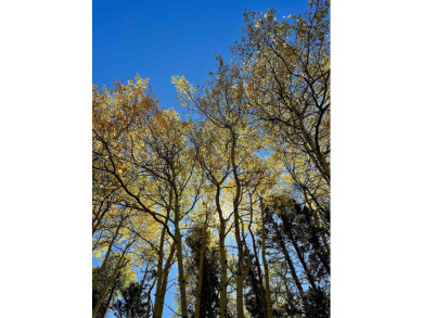 Discover the perfect setting for your future mountain home on on Angel Fire Resort Country Club in New Mexico - for sale on GolfHomes.com, golf home, golf lot