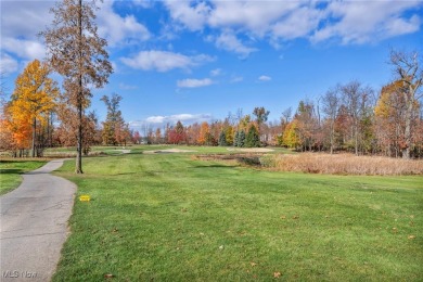 Imagine elegance and ease in this custom-built masterpiece by M on StoneWater Golf Club in Ohio - for sale on GolfHomes.com, golf home, golf lot