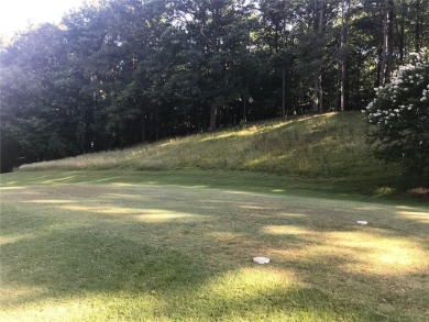 || NATURE LOVER'S PARADISE || || OUTDOOR ENTHUSIAST'S DREAM || on Big Canoe Golf Club - Cherokee in Georgia - for sale on GolfHomes.com, golf home, golf lot