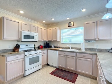 Located in the lovely Village of Briar Meadow, this GOLF COURSE on The Links of Spruce Creek in Florida - for sale on GolfHomes.com, golf home, golf lot