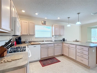 Located in the lovely Village of Briar Meadow, this GOLF COURSE on The Links of Spruce Creek in Florida - for sale on GolfHomes.com, golf home, golf lot