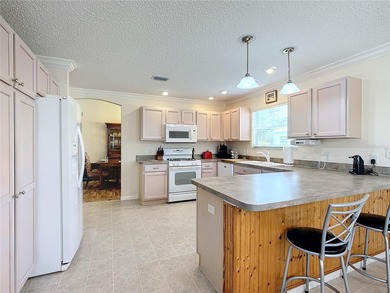 Located in the lovely Village of Briar Meadow, this GOLF COURSE on The Links of Spruce Creek in Florida - for sale on GolfHomes.com, golf home, golf lot