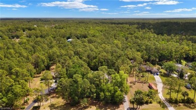 Country living in paradise! This is a great opportunity to live on The Club At Twin Eagles in Florida - for sale on GolfHomes.com, golf home, golf lot