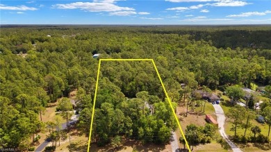 Country living in paradise! This is a great opportunity to live on The Club At Twin Eagles in Florida - for sale on GolfHomes.com, golf home, golf lot