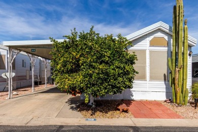 Your gorgeous fully furnished cozy home is a 2 bedroom, 1 bath on Viewpoint Golf Resort in Arizona - for sale on GolfHomes.com, golf home, golf lot