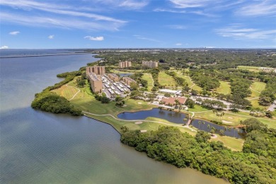 GATED CONDO  IN CLEARWATER W/ GORGEOUS VIEWS OF TAMPA BAY  GOLF on Cove Cay Country Club in Florida - for sale on GolfHomes.com, golf home, golf lot