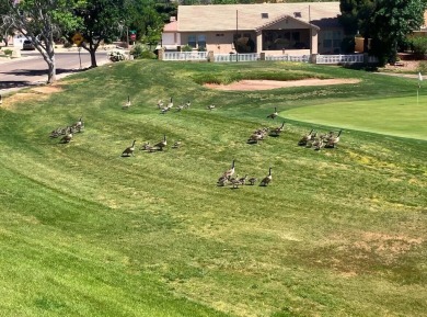 Step into timeless elegance with this stunning former Parade on Sunbrook Golf Course in Utah - for sale on GolfHomes.com, golf home, golf lot