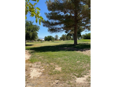 Don't miss this rare opportunity to obtain one of the few on Lakeview Executive Golf Course in Nevada - for sale on GolfHomes.com, golf home, golf lot