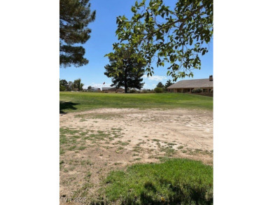 Don't miss this rare opportunity to obtain one of the few on Lakeview Executive Golf Course in Nevada - for sale on GolfHomes.com, golf home, golf lot