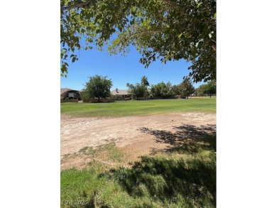Don't miss this rare opportunity to obtain one of the few on Lakeview Executive Golf Course in Nevada - for sale on GolfHomes.com, golf home, golf lot