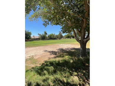 Don't miss this rare opportunity to obtain one of the few on Lakeview Executive Golf Course in Nevada - for sale on GolfHomes.com, golf home, golf lot