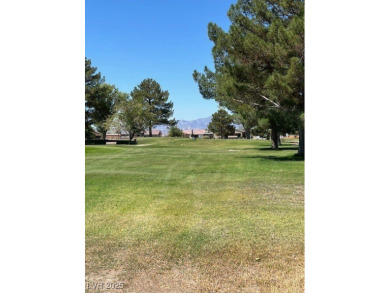 Don't miss this rare opportunity to obtain one of the few on Lakeview Executive Golf Course in Nevada - for sale on GolfHomes.com, golf home, golf lot