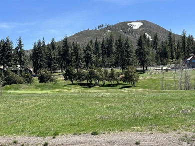 41 Lightning W Ranch Road 51 on Toiyabe Golf Course in Nevada - for sale on GolfHomes.com, golf home, golf lot