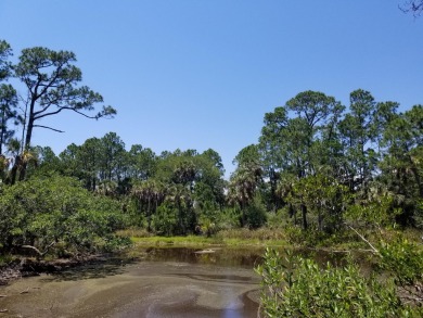 What if your property came with approved home plans and was on Kiawah Island Resort - Cougar Point in South Carolina - for sale on GolfHomes.com, golf home, golf lot