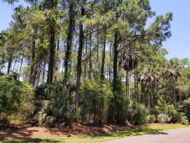 What if your property came with approved home plans and was on Kiawah Island Resort - Cougar Point in South Carolina - for sale on GolfHomes.com, golf home, golf lot