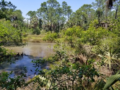 What if your property came with approved home plans and was on Kiawah Island Resort - Cougar Point in South Carolina - for sale on GolfHomes.com, golf home, golf lot