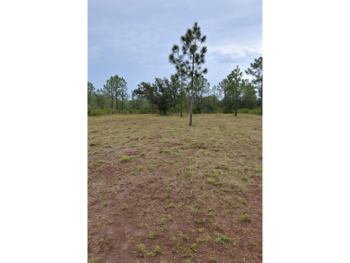 Discover the perfect opportunity to build your dream home or on Indian Lake Estates Golf and Country Club in Florida - for sale on GolfHomes.com, golf home, golf lot