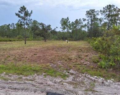 Discover the perfect opportunity to build your dream home or on Indian Lake Estates Golf and Country Club in Florida - for sale on GolfHomes.com, golf home, golf lot
