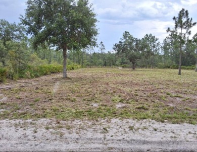 Discover the perfect opportunity to build your dream home or on Indian Lake Estates Golf and Country Club in Florida - for sale on GolfHomes.com, golf home, golf lot