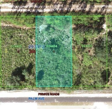 Discover the perfect opportunity to build your dream home or on Indian Lake Estates Golf and Country Club in Florida - for sale on GolfHomes.com, golf home, golf lot