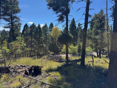 Lovely lot on a quiet street. Enjoy the peaceful atmosphere on on Angel Fire Resort Country Club in New Mexico - for sale on GolfHomes.com, golf home, golf lot