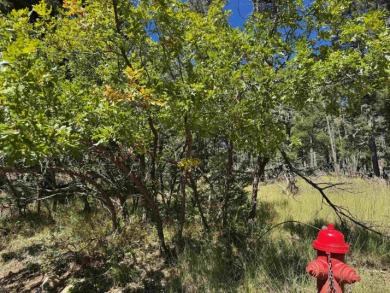 Lovely lot on a quiet street. Enjoy the peaceful atmosphere on on Angel Fire Resort Country Club in New Mexico - for sale on GolfHomes.com, golf home, golf lot