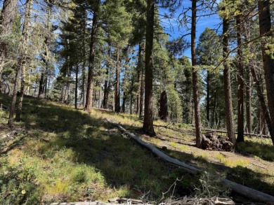 Lovely lot on a quiet street. Enjoy the peaceful atmosphere on on Angel Fire Resort Country Club in New Mexico - for sale on GolfHomes.com, golf home, golf lot